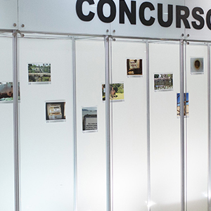 intercorr2016